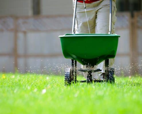 Lawn Fertilization Lawn Fertilization