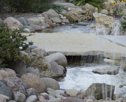 backyard stream