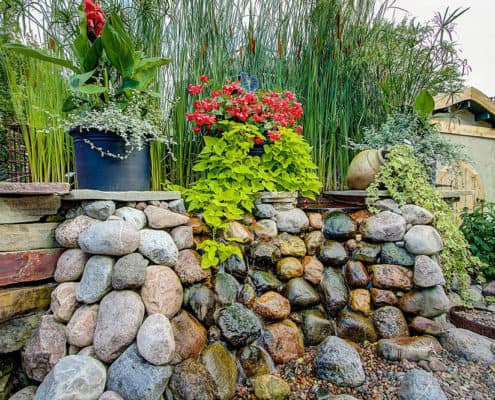 Water Feature